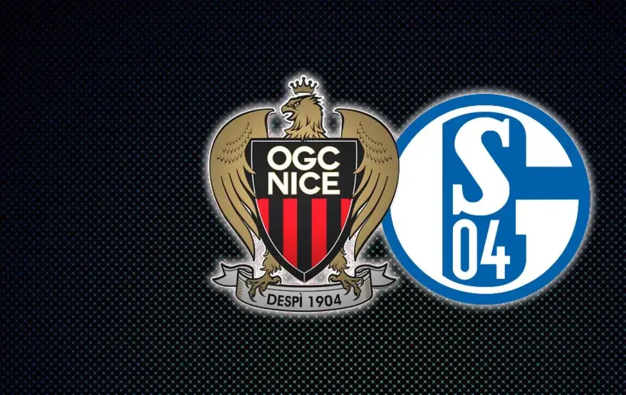nice_schalke_h.jpg