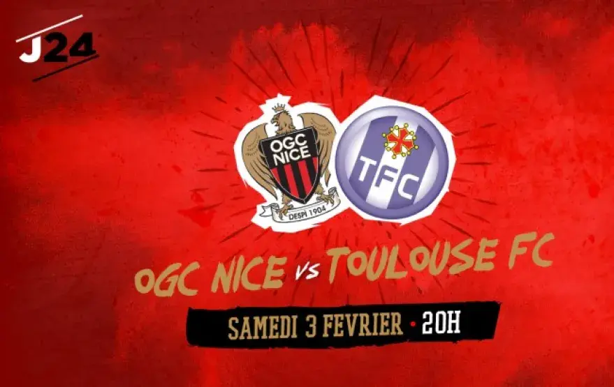 nice_toulouse_site_web.jpg